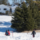 Illustration for article titled Only Lame Scolds Dislike Backyard Hockey Rinks